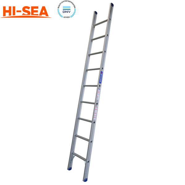 Marine Stainless Steel Vertical Ladder